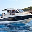 Quicksilver 905 WKN