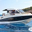 Quicksilver 905 WKN